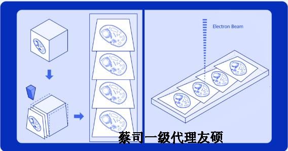 璧山蔡司璧山扫描电镜