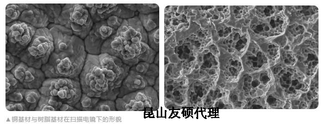 璧山蔡司璧山扫描电镜